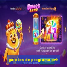 garotos de programa pvh